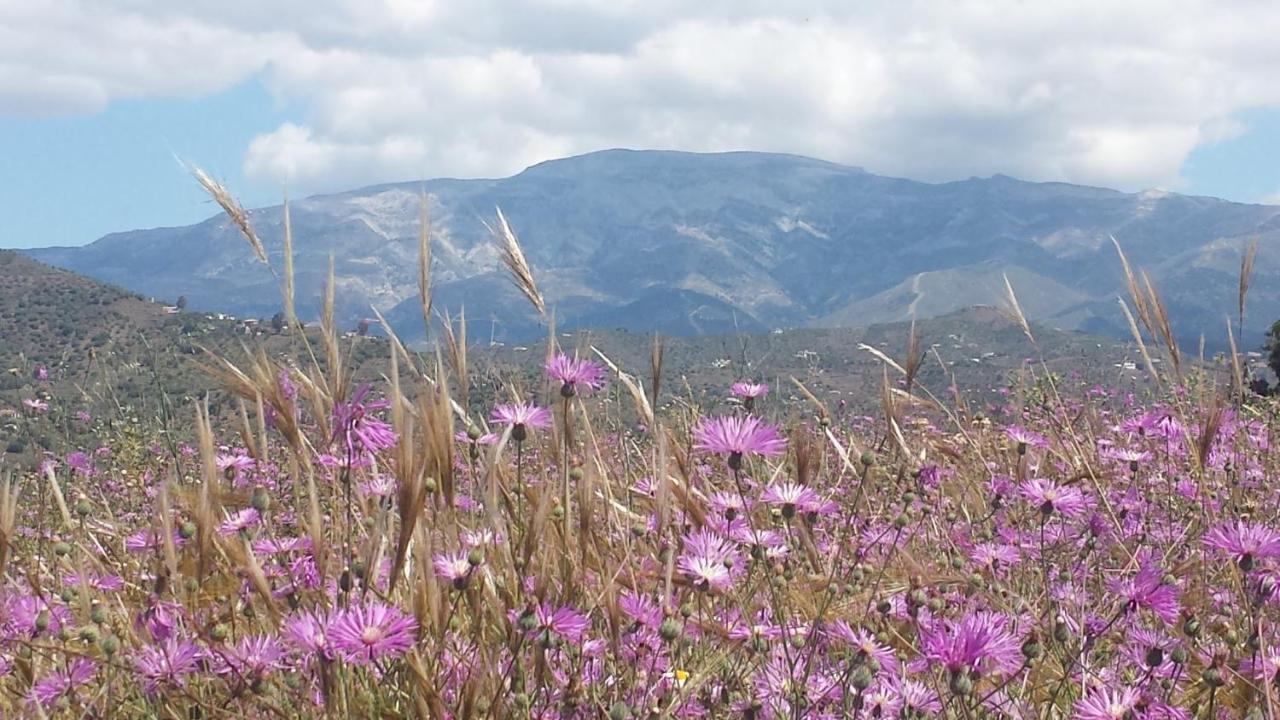 Villa Perla Blanca Sayalonga 외부 사진